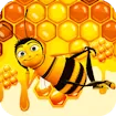 Bee Factory Honey Collector