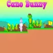 Cano Bunny