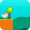 Chicken Ko