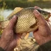 Chill Fishing 2 New Horizons