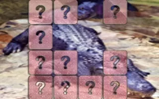 Crocodile Memory Match