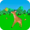 Feed the Deer