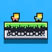 FlapFlat Twins