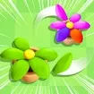 Flower Jam