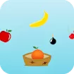 Fruit Collector