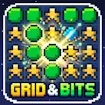 Grid and Bits