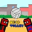 Head Volley