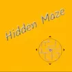 Hidden Maze