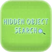Hidden Object Search