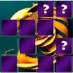 Hippocampus Memory Match