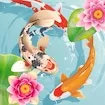 Idle Koi Pond