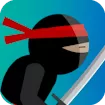 Ninja Dragon