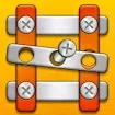 Nuts & Bolts Unscrew Puzzle