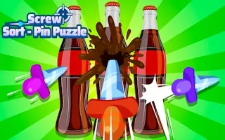 Screw Sort Pin Puzzle