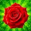 The Flowers Merge and Sell Bouquets