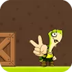 Turtle Hero Run